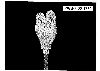 click image to enlarge