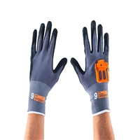 click image to enlarge