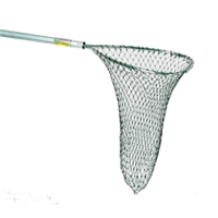 click image to enlarge