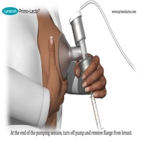 click image to enlarge