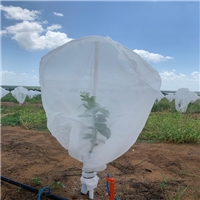 click image to enlarge