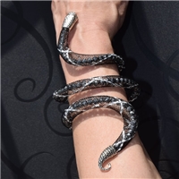 click image to enlarge