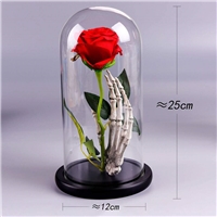 click image to enlarge