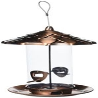 click image to enlarge