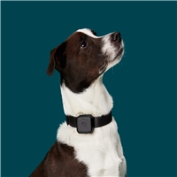 click image to enlarge