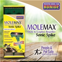 click image to enlarge