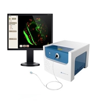 click image to enlarge