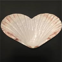 click image to enlarge