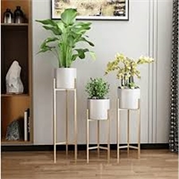 click image to enlarge