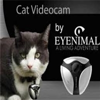 click image to enlarge