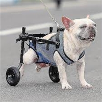 click image to enlarge