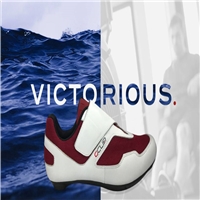 click image to enlarge