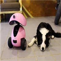 click image to enlarge