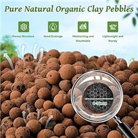 click image to enlarge