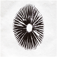 click image to enlarge