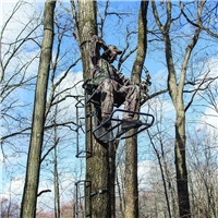 click image to enlarge