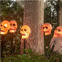 click image to enlarge