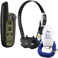 click image to enlarge