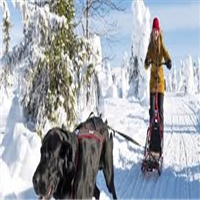 click image to enlarge