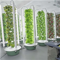 click image to enlarge