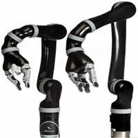 click image to enlarge