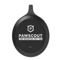 click image to enlarge