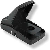 click image to enlarge