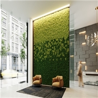 click image to enlarge