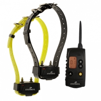 click image to enlarge