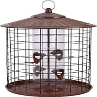 click image to enlarge