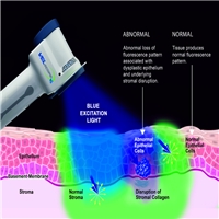 click image to enlarge