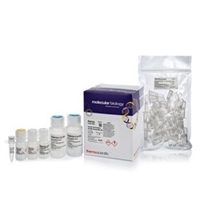 click image to enlarge