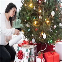 click image to enlarge