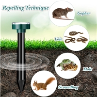 click image to enlarge