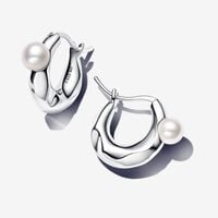 click image to enlarge