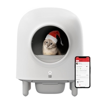 click image to enlarge