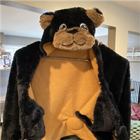 click image to enlarge