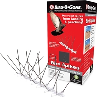 click image to enlarge