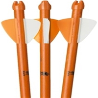 click image to enlarge