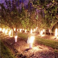 click image to enlarge