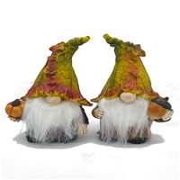 click image to enlarge