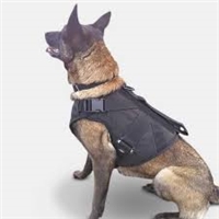 click image to enlarge