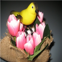 click image to enlarge