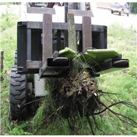 click image to enlarge