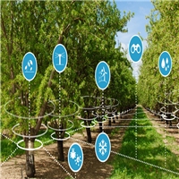 click image to enlarge