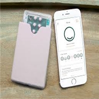 click image to enlarge