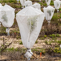 click image to enlarge