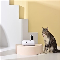 click image to enlarge