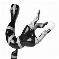 click image to enlarge