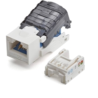 click image to enlarge